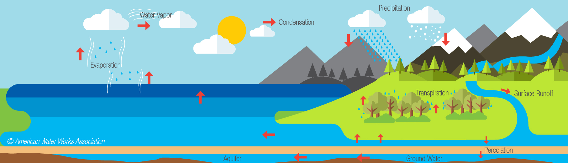water cycle